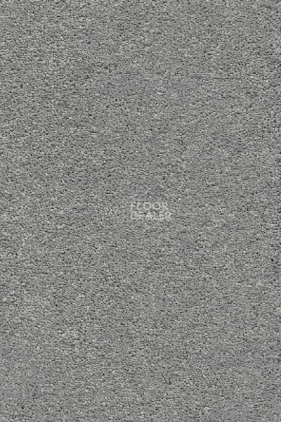 Ковролин AW Vivendi Punch 90 фото 1 | FLOORDEALER